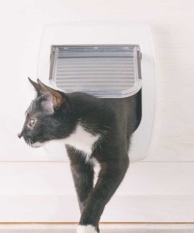 instalaciongaterasbarcelona